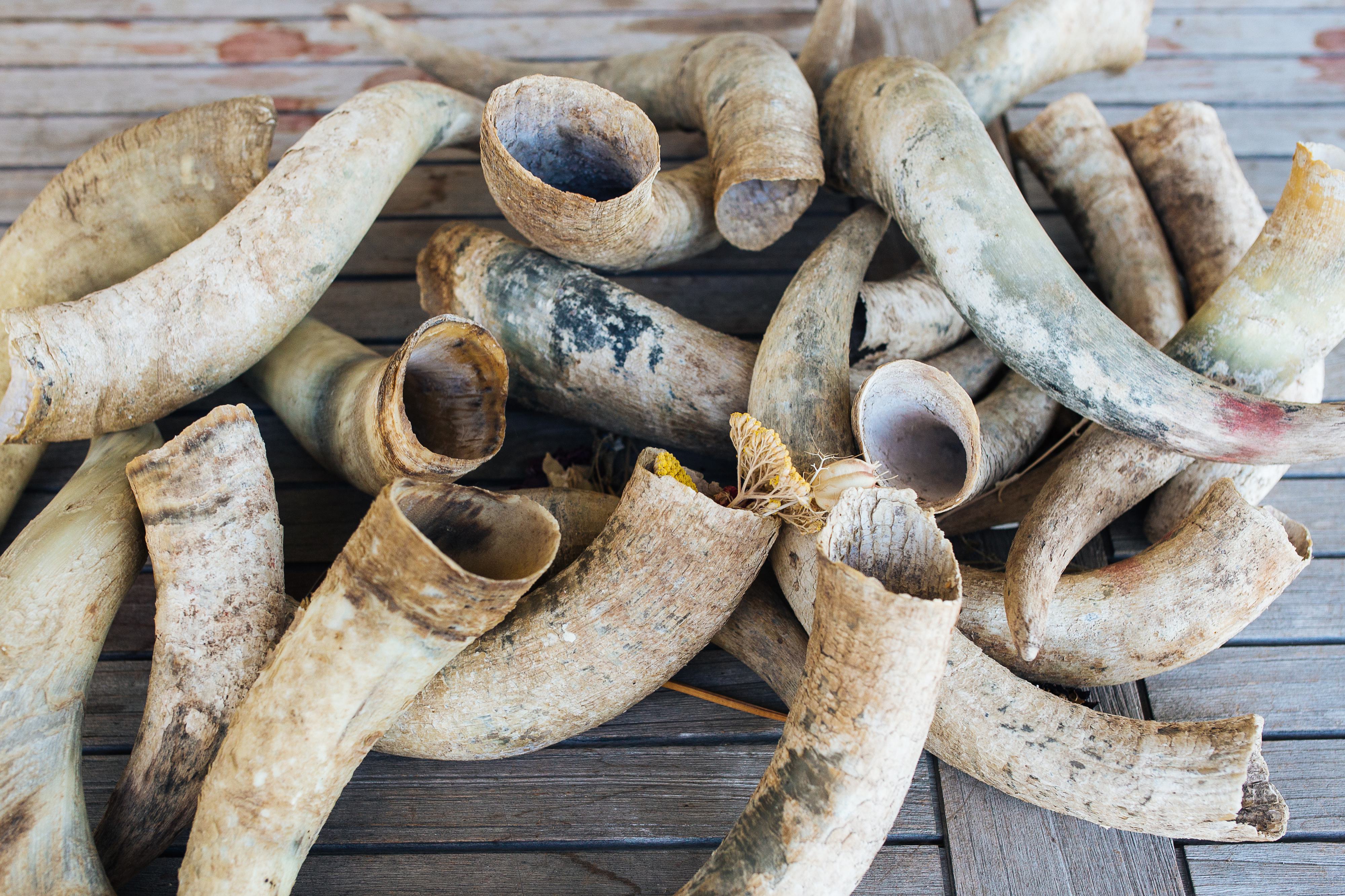 A lot of horns stacked together